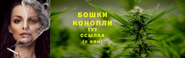 ешки Ачинск